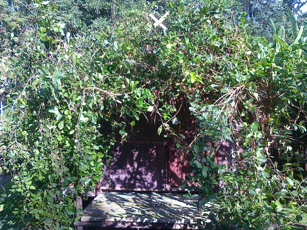 Pai Bamboo Hut Quarto foto
