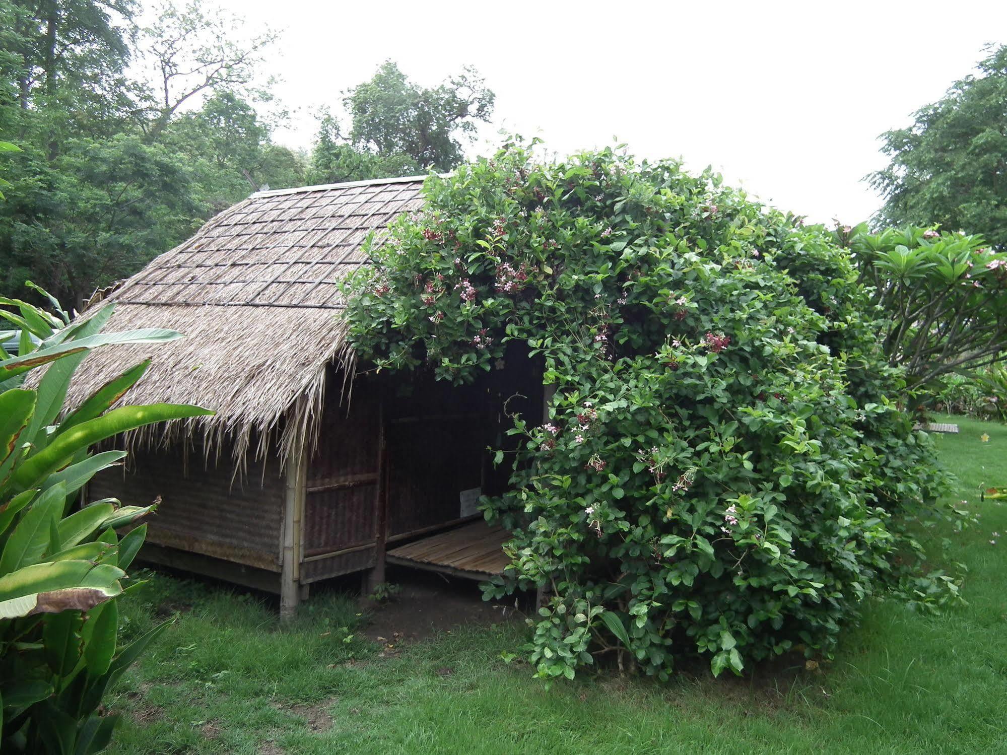 Pai Bamboo Hut Exterior foto